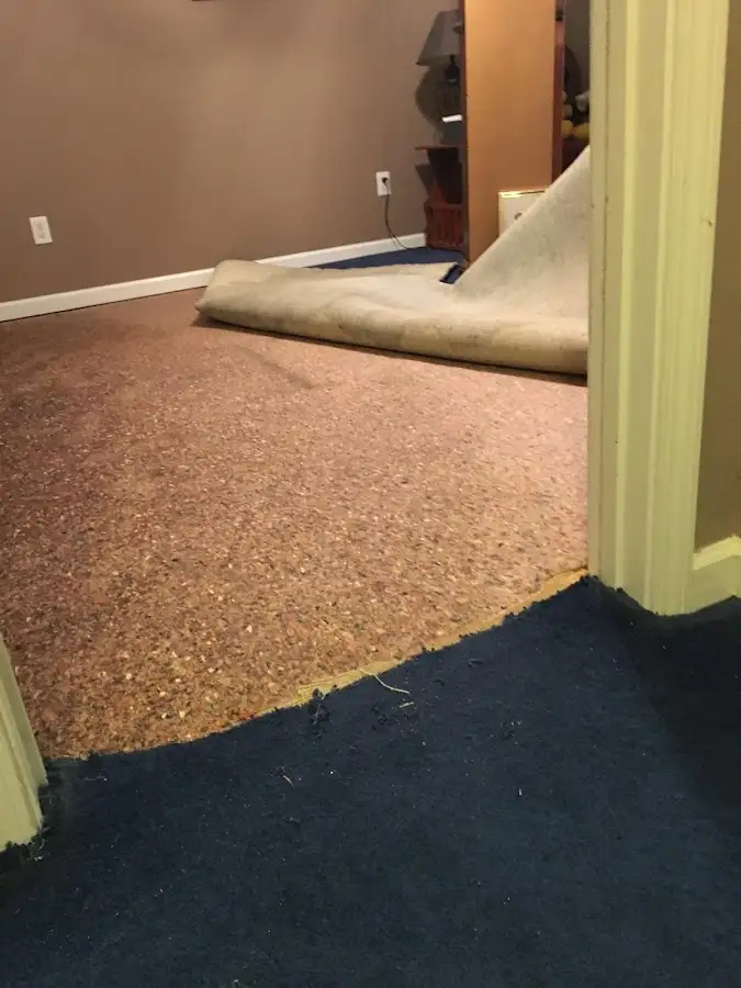 Carpet pad removal revealing water damage during Drying & Dehumidification in Stoughton