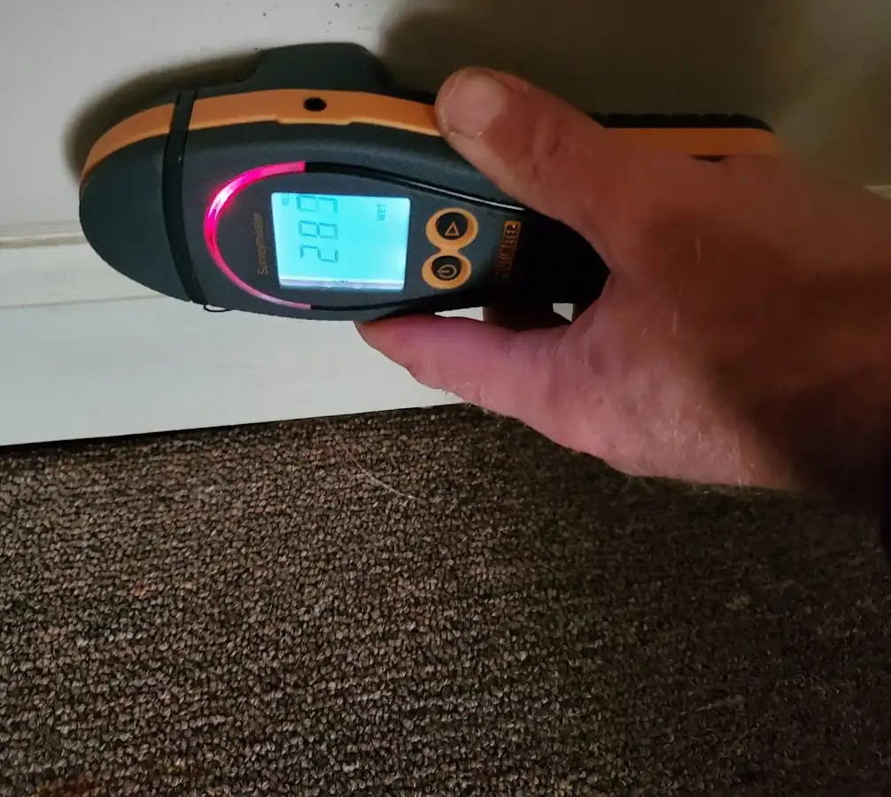 Moisture detection at baseboard during Sewage Cleanup & Sanitation in Stoughton